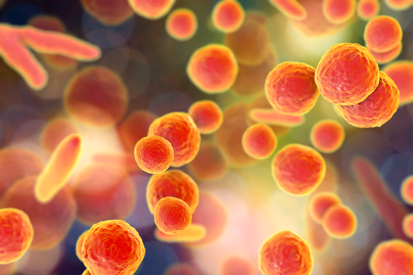 New EP 2.6.7 Regulation: What Changes in Mycoplasma Detection and How to Stay Compliant? - Sartorius Croatia