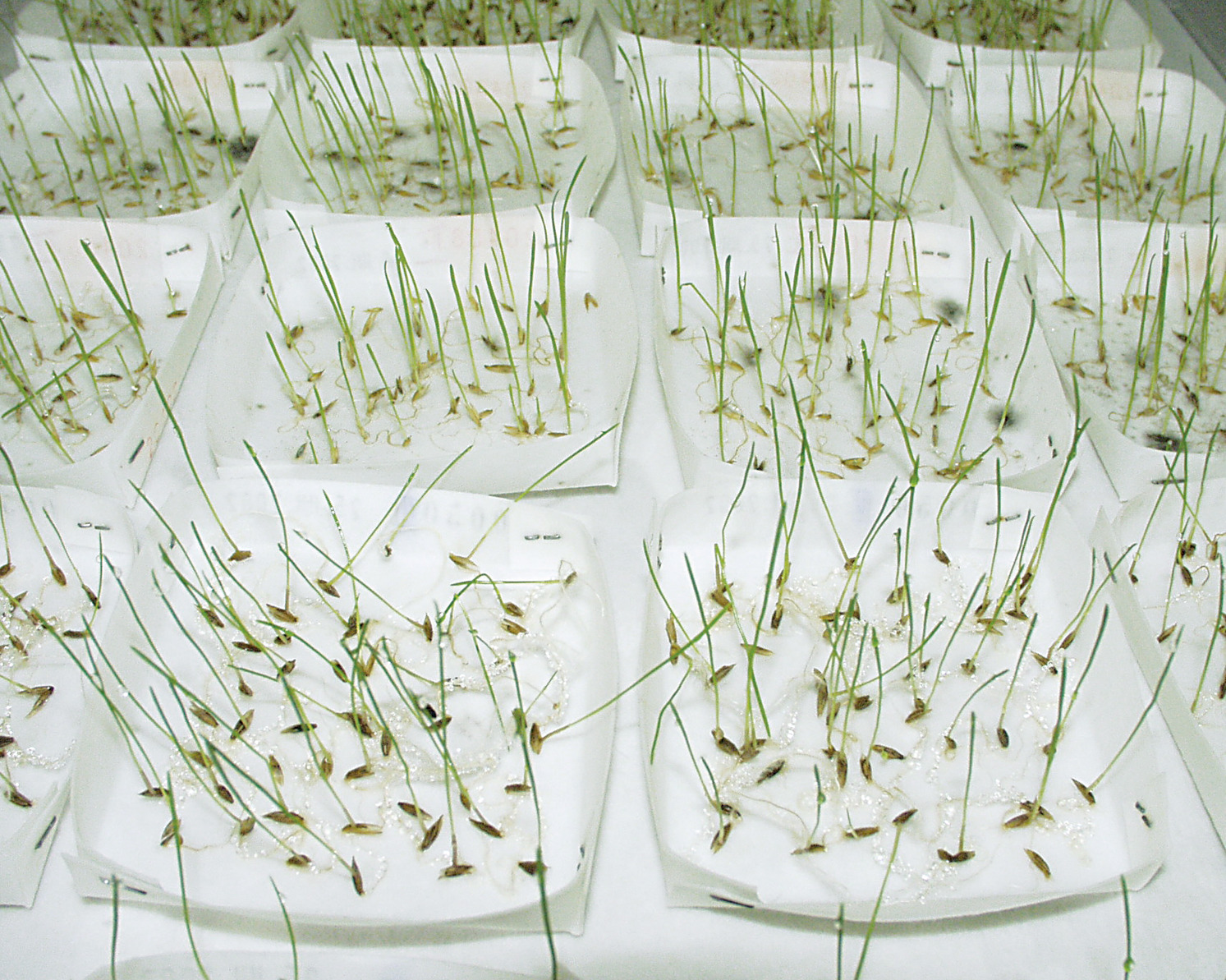 Filtrirni papir - Sartorius Croatia