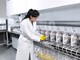 Ambr® 250 High Throughput Perfusion | Multi-Parallel Bioreactor - Sartorius Croatia