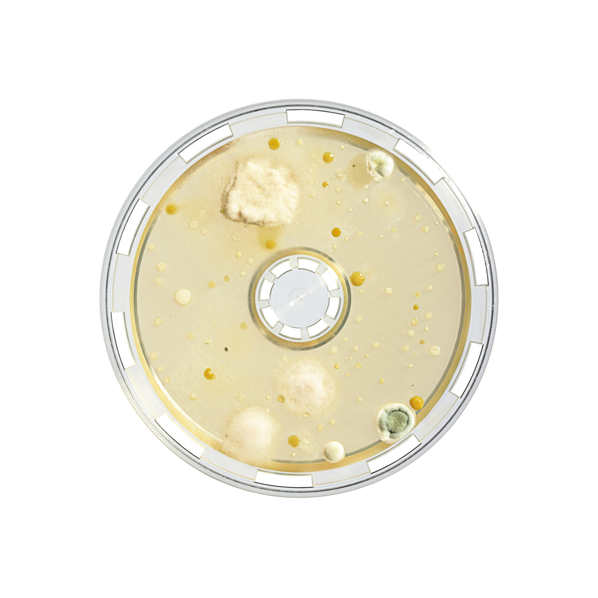 BACTair™ mikrobiološki mediji za testiranje kakovosti zraka - Sartorius Croatia