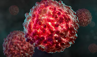 Using brain organoids in human health and disease research - Sartorius Croatia