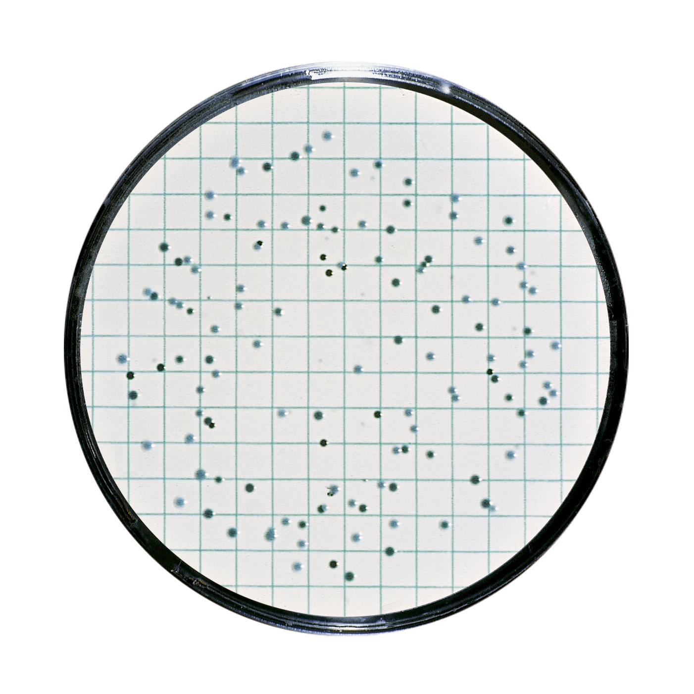 Testiranje vode i detekcija mikroorganizama | Pivo - Sartorius Croatia