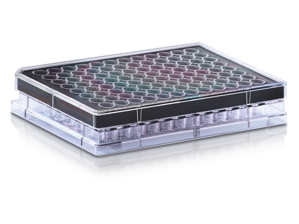Incucyte® Clearview 96-well chemotaxis plate - Sartorius Croatia